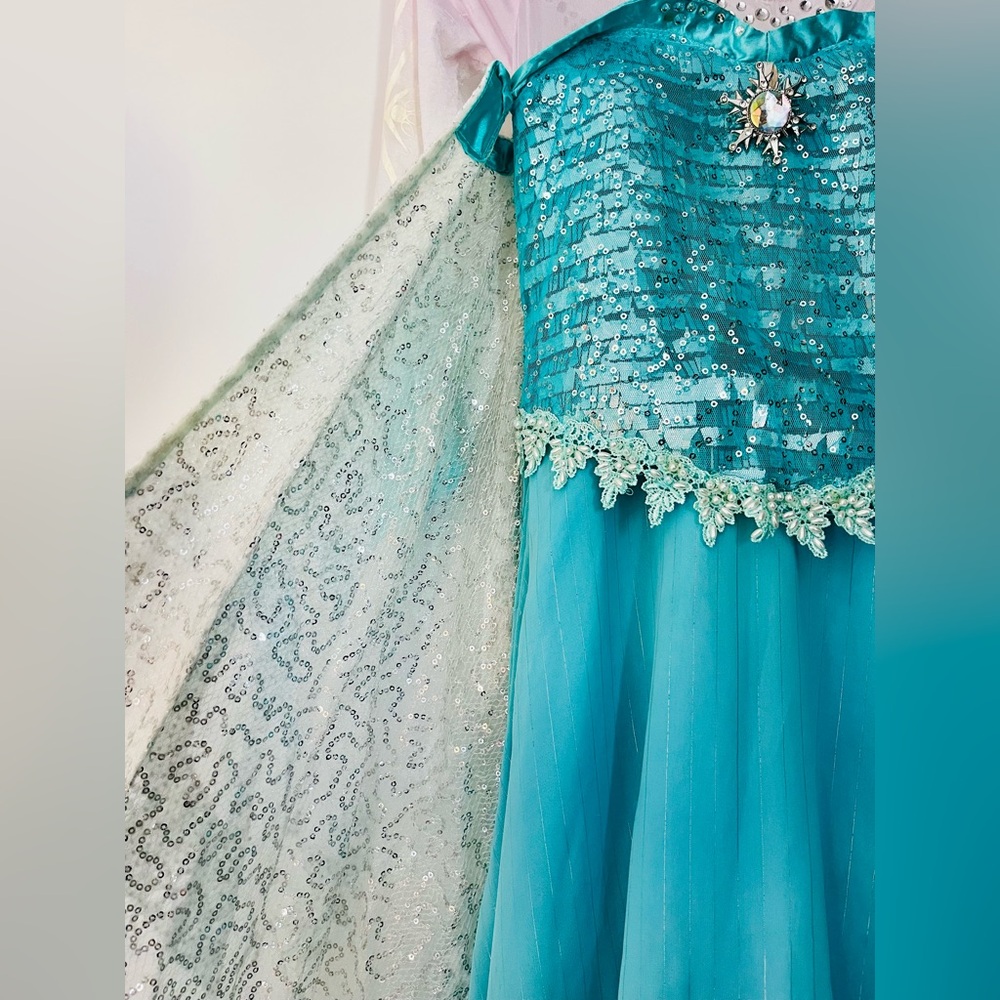 Disney Frozen Elsa dress (Limited Edition)